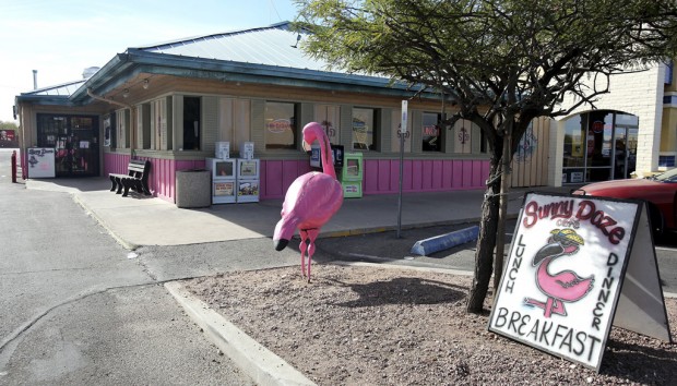 Tucson Oddity: Faux flamingo flock keeps cafe in the pink